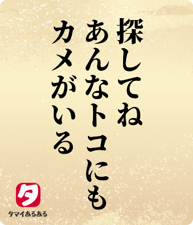 探してねあんなトコにもカメがいる